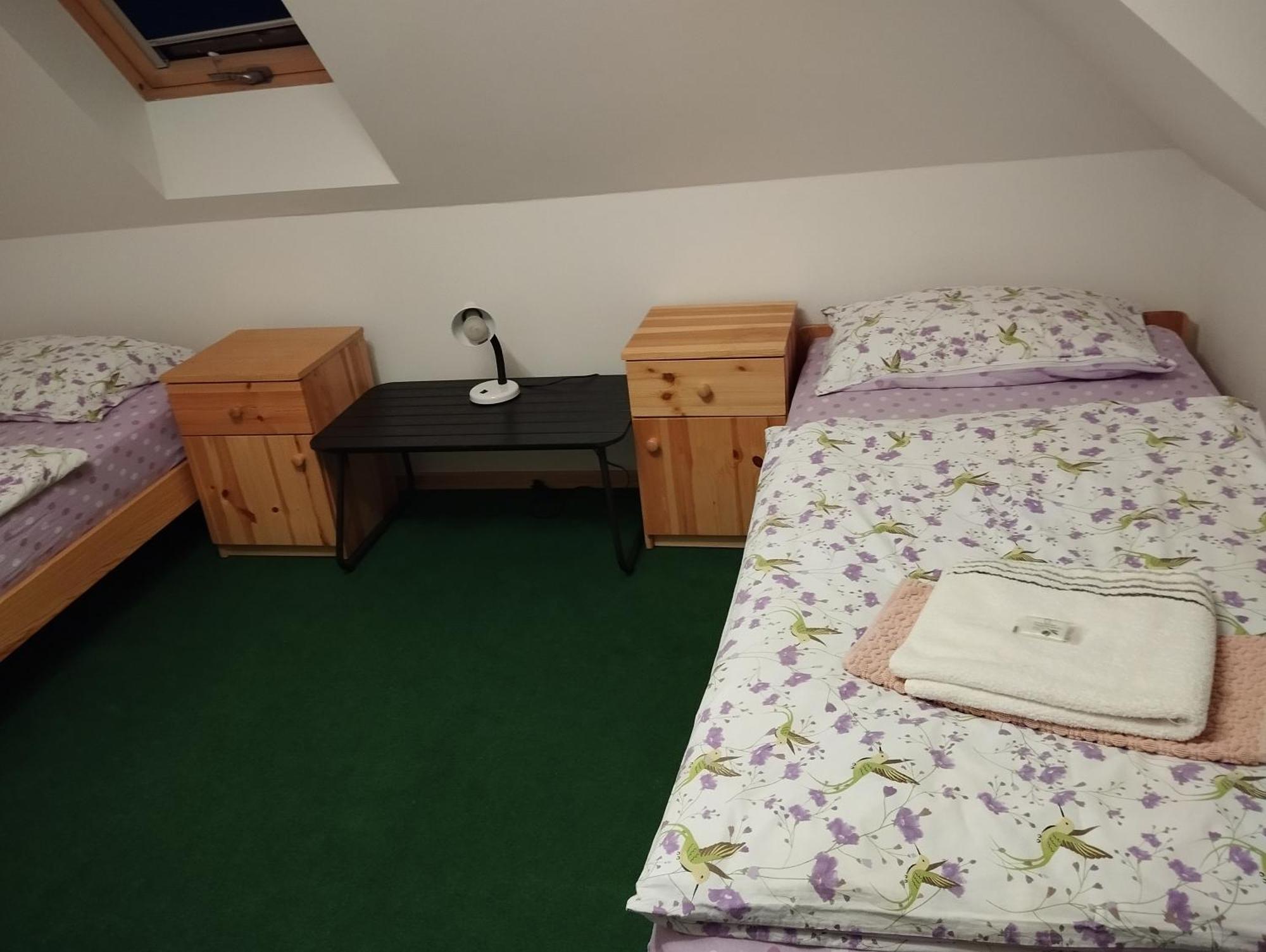 Ubytovani U Nadii Zelezny Brod Exterior foto